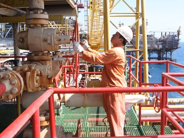 Blue Whale gas field project to be launched in Quang Nam ảnh 1