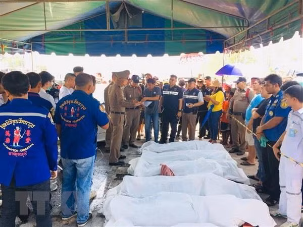 Ministry asks for verifying identity of victims in Thai road crash ảnh 1