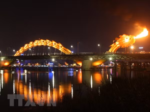 Da Nang ready for collaborating with Canadian firms ảnh 1