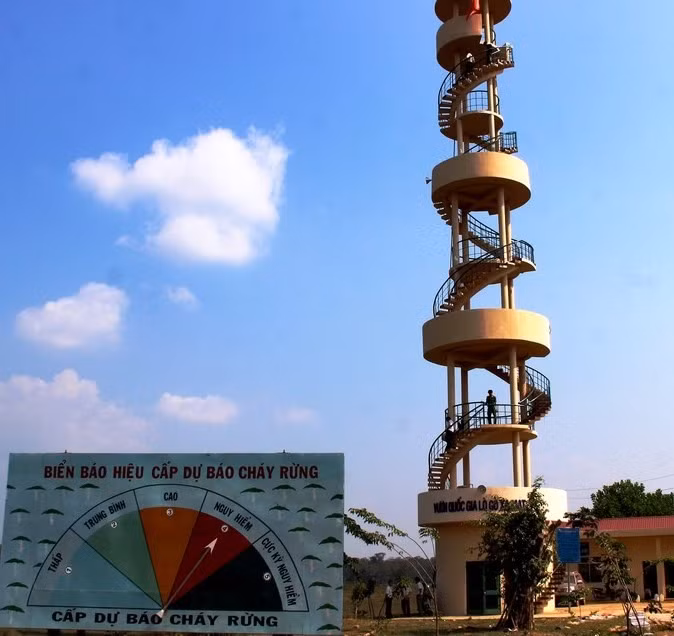 Tay Ninh province faces high risk of forest fires ảnh 1