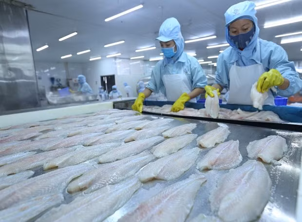 Agricultural sector posts trade surplus of 1 billion USD in 2 months ảnh 1