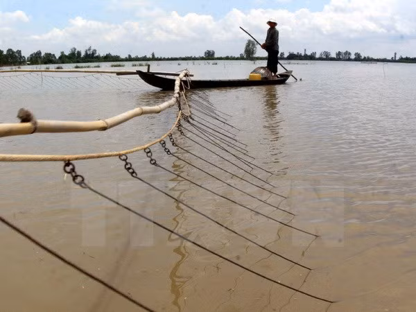 Project to train human resource for climate change reviewed ảnh 1