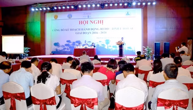 Lao Cai moves to reduce emissions from deforestation ảnh 1