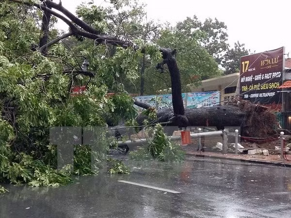 Typhoon causes havoc in northern localities ảnh 1