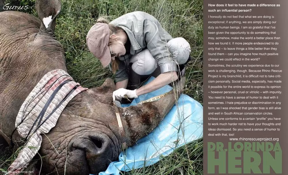 Advertising agency wins creativity awards for rhino saving ad ảnh 1
