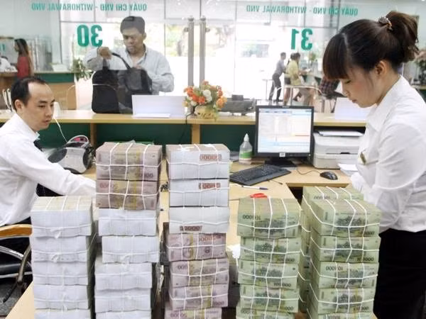 Microfinance sector targets sustainable development ảnh 1 Microfinance sector targets sustainable development ảnh 1