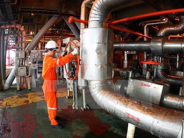 Vietnam, Russia boost links in oil and gas production ảnh 1 Vietnam, Russia boost links in oil and gas production ảnh 1