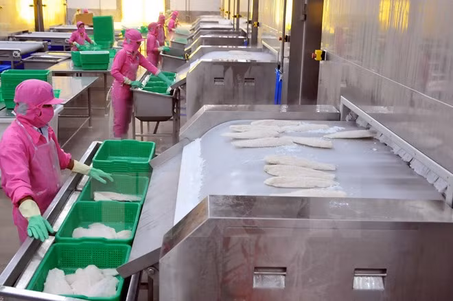 Tra fish exports to UK increase sharply ảnh 1