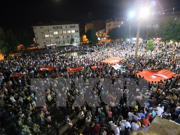 Vietnam moves to protect citizens in Turkey ảnh 1
