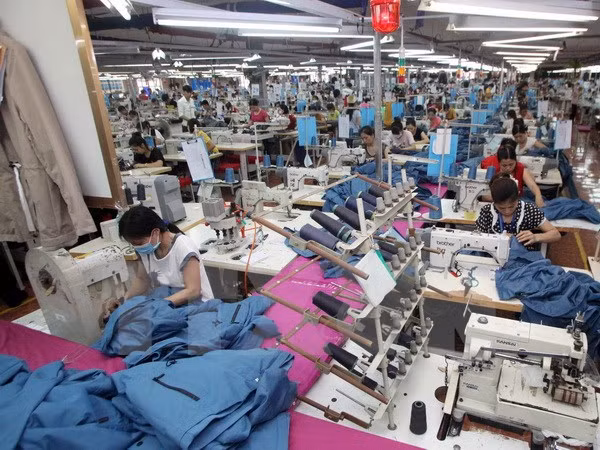 Hanoi: export revenue hit over 5.2 billion USD in first half ảnh 1 Hanoi: export revenue hit over 5.2 billion USD in first half ảnh 1