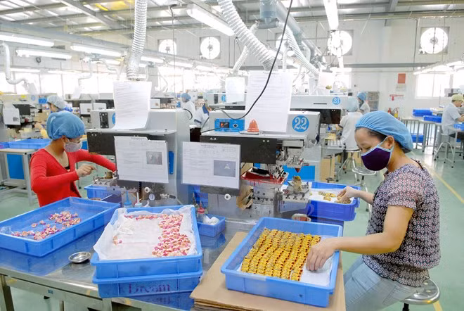HCM City publishes investment handbook to assist businesses ảnh 1 HCM City publishes investment handbook to assist businesses ảnh 1