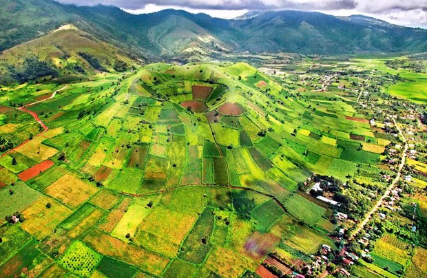 Call for investment in Central Highlands’s socio-economic development ảnh 2