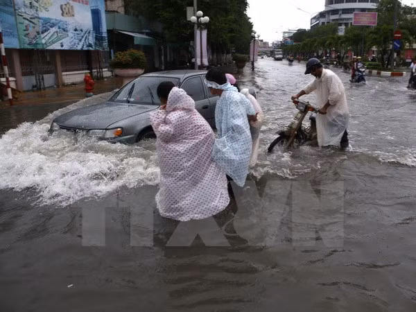 Can Tho asks for Canada’s support in climate change response ảnh 1