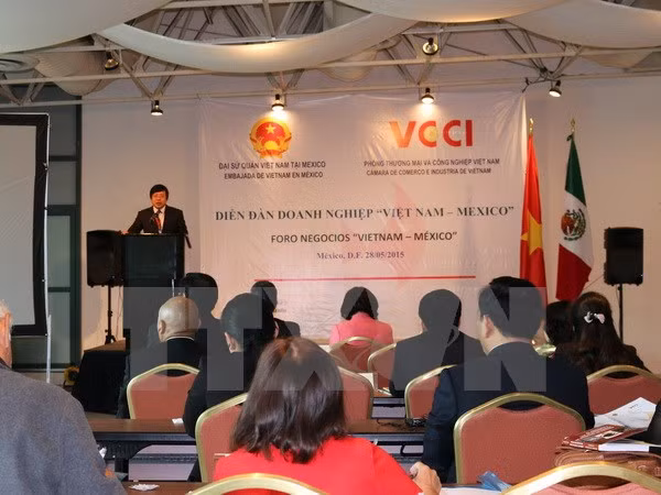Vietnam, Mexico forge practical, effective cooperation ảnh 1