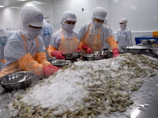 Shrimp exporters told to improve methods ảnh 1 Shrimp exporters told to improve methods ảnh 1