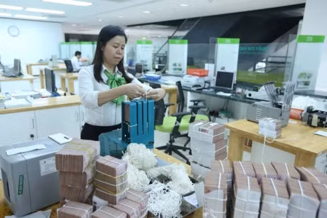 Finance Ministry to get involved in SOEs’ dividends ảnh 1 Finance Ministry to get involved in SOEs’ dividends ảnh 1