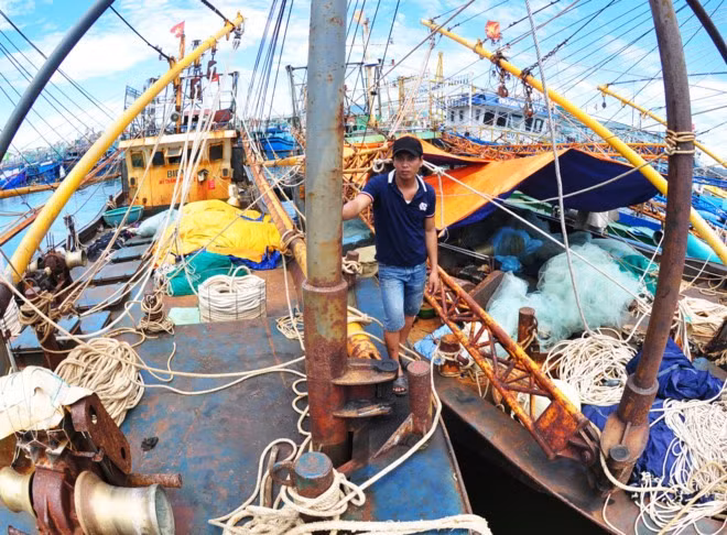 Prime Minister gets report on faulty fishing boats ảnh 1 Prime Minister gets report on faulty fishing boats ảnh 1