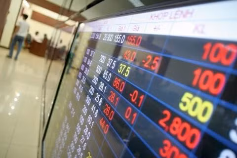 Blue chips pull down VN Index ảnh 1