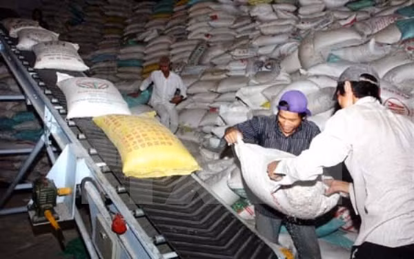 Mekong Delta region enjoys 3.5 billion USD trade surplus in six months ảnh 1 Mekong Delta region enjoys 3.5 billion USD trade surplus in six months ảnh 1