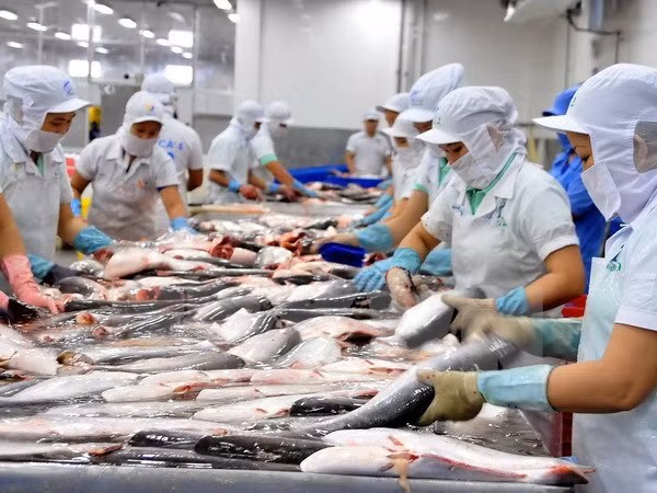 PM orders close watch on market when US applies Farm Bill ảnh 1