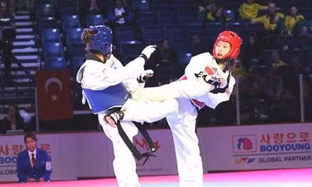 Vietnamese taekwondo athlete wins gold in RoK ảnh 1
