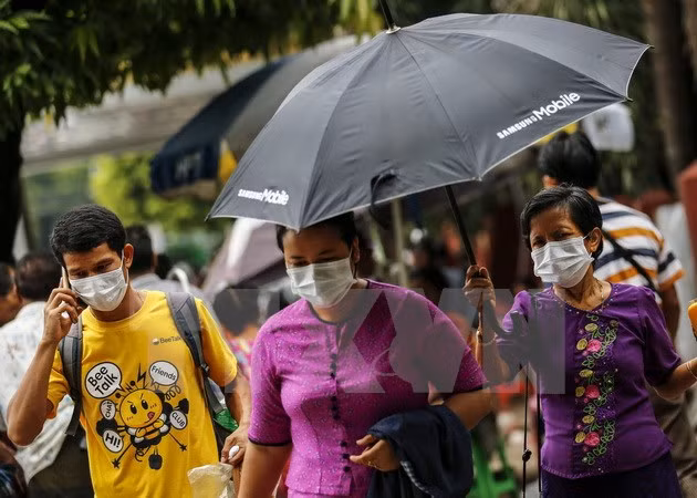 Bird flu, swine flu break out in Myanmar ảnh 1