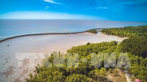 Ca Mau looks to attract investment in tourism ảnh 1
