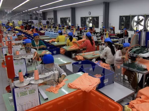  VCCI: Half of private firms take loans for operation ảnh 1