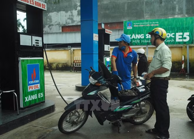 Industry ministry plans out transition to bio-fuel ảnh 1 Industry ministry plans out transition to bio-fuel ảnh 1
