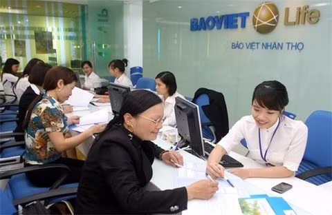 Vietnam’s insurance market up 21 percent in H1 ảnh 1