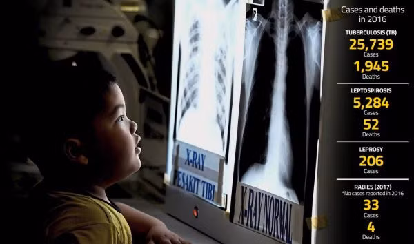Malaysia worries over return of infectious diseases ảnh 1