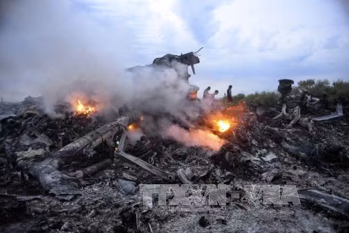 Malaysian lawyers propose bringing MH17 case to ICC ảnh 1 Malaysian lawyers propose bringing MH17 case to ICC ảnh 1