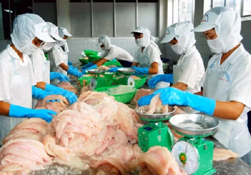 Khanh Hoa runs trade surplus of over 280 million USD ảnh 1 Khanh Hoa runs trade surplus of over 280 million USD ảnh 1