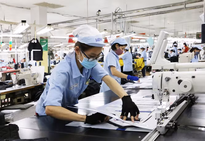 Vietnam’s garment-textile expects boom in 2020 ảnh 1