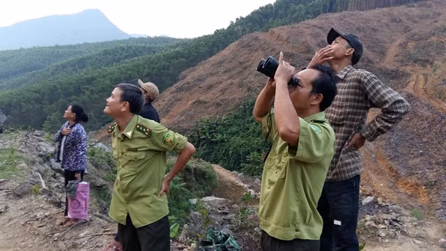 WWF-Vietnam, GreenViet work to protect endangered primates ảnh 1