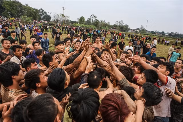 Festivals may be cancelled due to coronavirus threat ảnh 1