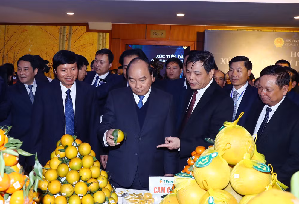 Hoa Binh inks deals worth billions of USD at investment promotion conference ảnh 1