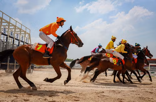 Horse racing course added into Hanoi’s planning ảnh 1