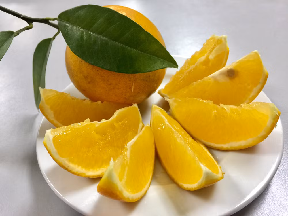 Cao Phong orange to be served on board Vietnam Airlines flights ảnh 1