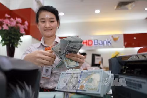 Reference exchange rate turns around to drop on December 13 ảnh 1