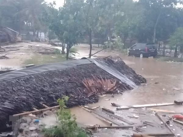 Condolences extended to Indonesia over tsunami ảnh 1