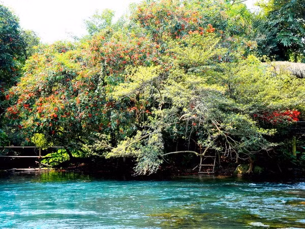 Quang Binh strives to welcome 4.3 million tourists in 2019 ảnh 1