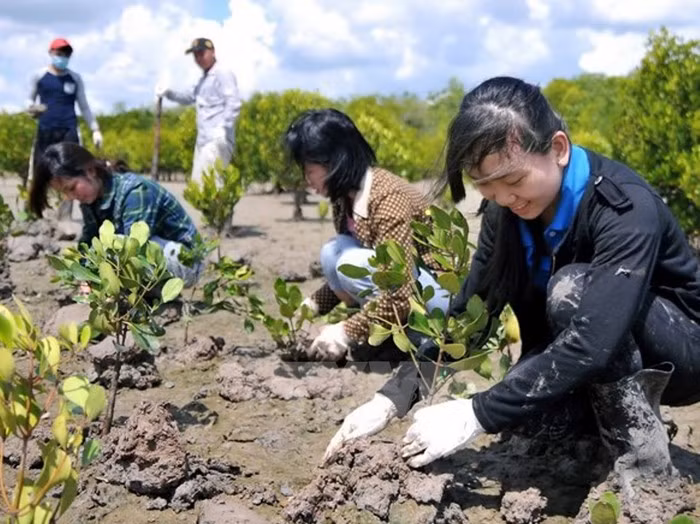 Tree planting festival on lunar New Year occasion launched ảnh 1