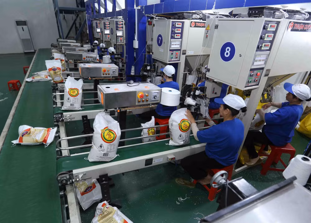 HCM City posts 7.8-percent growth in overseas shipments ảnh 1