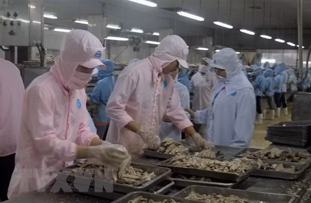 Vietnamese, US officials talk economic, trade issues ảnh 1