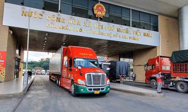 Import-export value through Lao Cai’s border gates declines due to COVID-19 ảnh 1