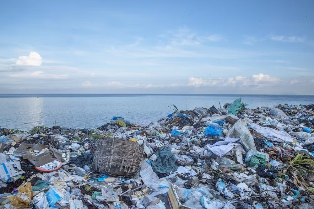 Efforts made to reduce plastic waste in oceans ảnh 2