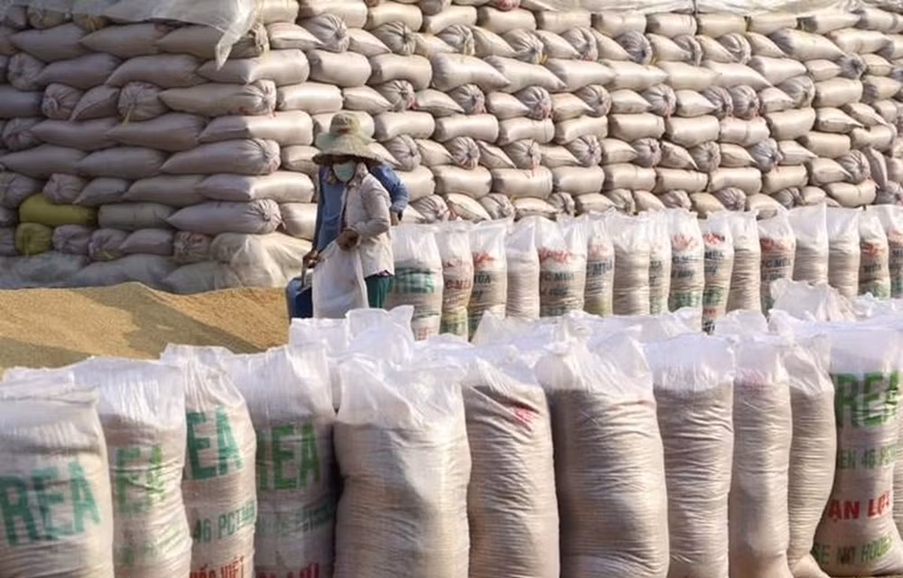 Vietnam imports Indian broken rice ảnh 1 Vietnam imports Indian broken rice ảnh 1