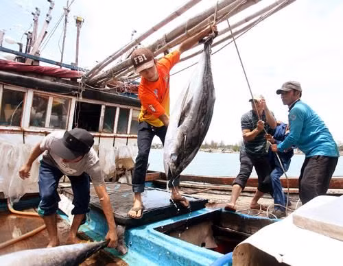 Nghe An develops offshore fishing ships ảnh 1 Nghe An develops offshore fishing ships ảnh 1