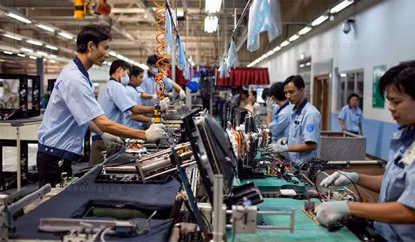 Firms hopeful of strong 2017 ảnh 1